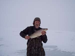 Lake Simcoe Whitefish